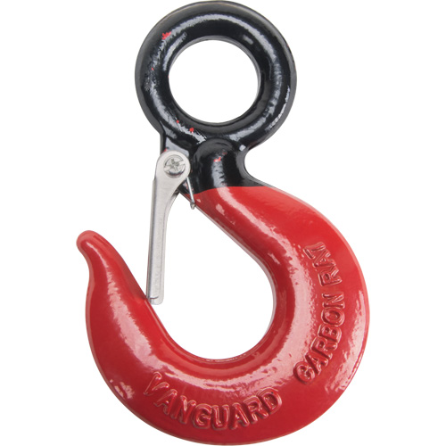 Black Eye&reg; Wire Rope Hoist Hook Fastek