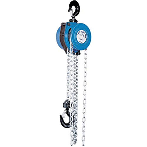 Tralift&reg; Manual Chain Hoist, 10' Lift, 4000 lbs. (2 tons) Capacity, Grade 80 Chain Fastek