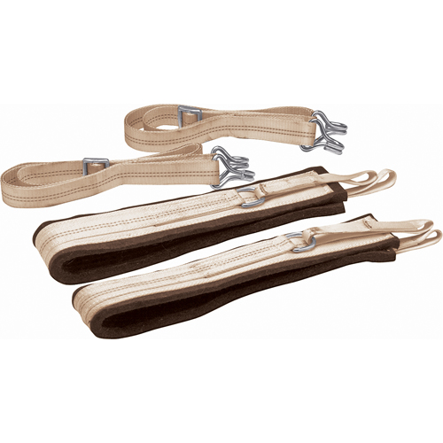 Courroies de d&eacute;m&eacute;nagement Fastek