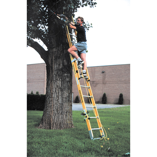 Industrial Heavy-Duty Extension Ladders (6200 Series), 375 lbs. Cap., 13' H, Grade 1AA Fastek