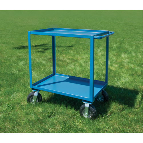 Outdoor Shelf Cart, 2 Tiers, 24" W x 39" H x 51" D, 1200 lbs. Capacity Fastek