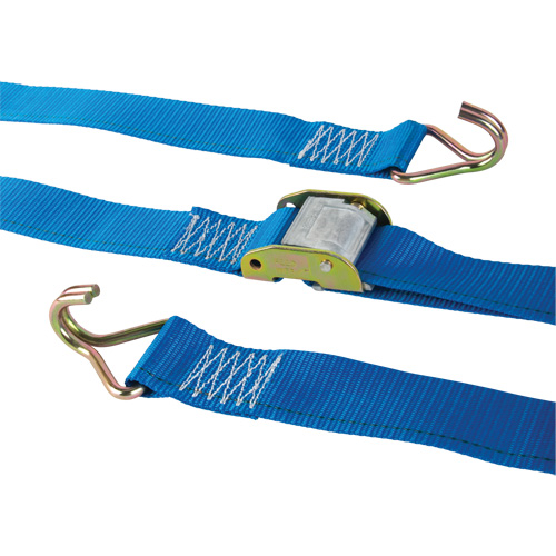 Logistic Strap, Cam Buckle, 2" W x 20' L, 500 lbs. (227 kg) WLL Fastek