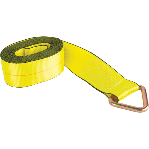 Logistic Strap, Delta Ring, 30' W x 4" L, 5400 lbs. (2449 kg) Working Load Limit Fastek