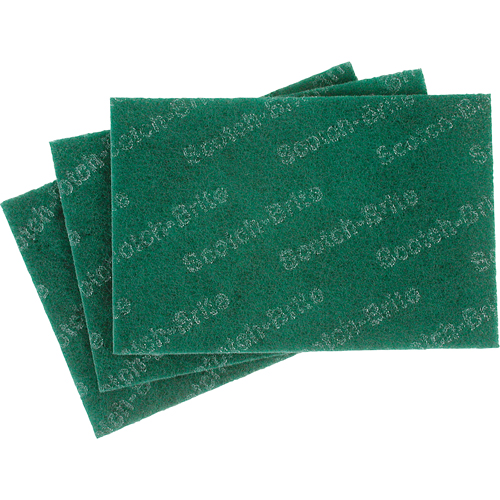 Tampons manuels Scotch-Brite, 9" lo x 6" la Fastek