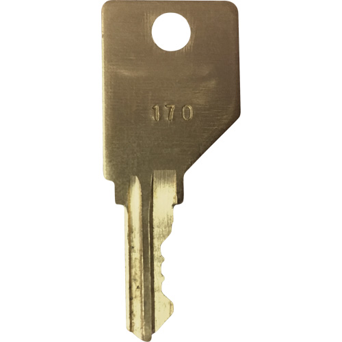 Replacement Key for Frost Smoking Receptacles Fastek