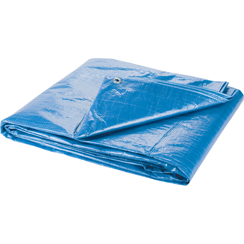 Tarp, Standard Duty, Blue, 7' x 5' x 4 mils Fastek