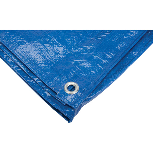 Tarp, Standard Duty, Blue, 7' x 5' x 4 mils Fastek