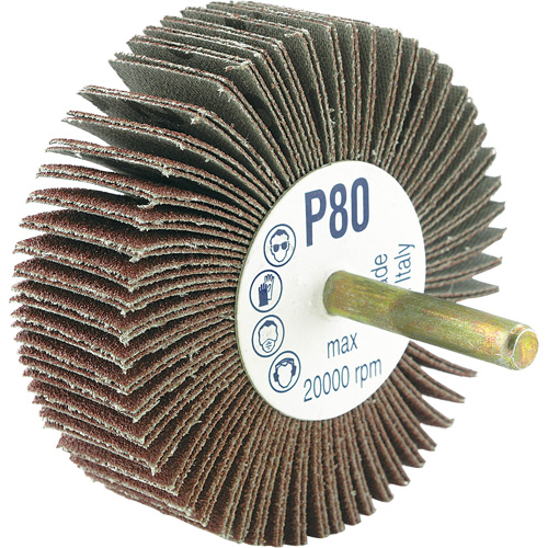 Disque &agrave; lamelles mont&eacute; sur mandrin, Grain 80, 3" x 1/4" Fastek