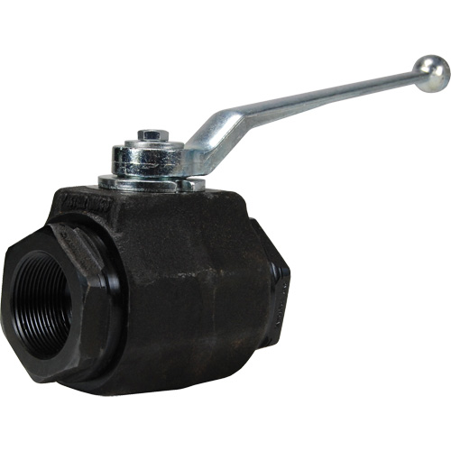 High Pressure Full-Bore Ball Valve, Steel, Manual, FNPT x FNPT Fastek