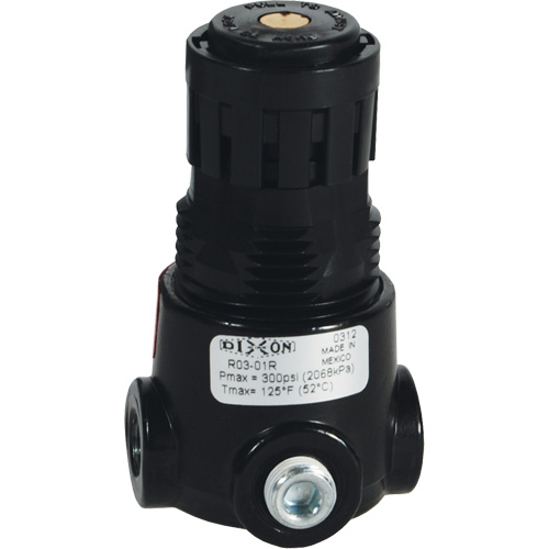 Wilkerson Miniature Regulator R03, 1/8" NPT, 300 psi Max. PSI, Standard Fastek