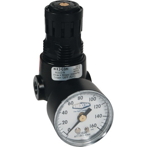 Wilkerson Miniature Regulator R04, 1/4" NPT, 300 psi Max. PSI, Standard Fastek