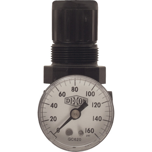Series 1 Miniature Regulator, 1/8" NPT, 100 psi Max. PSI, Standard Fastek