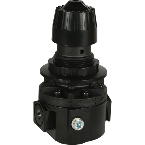 Wilkerson Regulator R26, 3/8" NPT, 300 psi Max. PSI, Standard Fastek