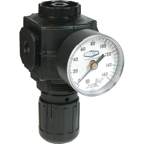 Series 1 Compact Regulator, 1/2" NPT, 150 PSI Max. PSI, Standard Fastek