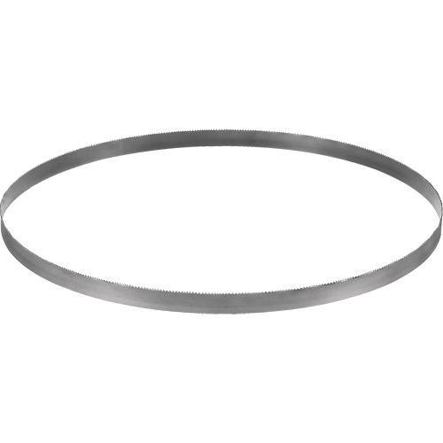 Cordless Band Saw Blade, Bi-Metal, 32-7/8" L x 0.02" Thick, 14-18 TPI Fastek