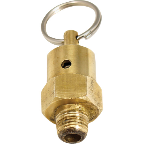 Viton&reg; Pressure Relief Valve Fastek