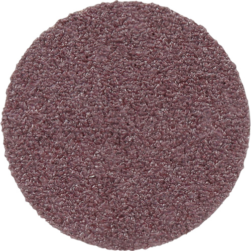 Meule en toile PSA 348D, 20" dia., Grain 60, Oxyde d'aluminium Fastek
