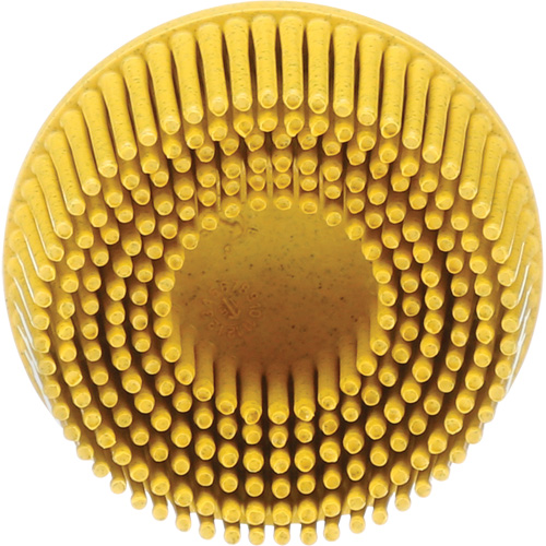Scotch-Brite Roloc Bristle Disc, Ceramic, Medium Grit, 2" Dia. Fastek