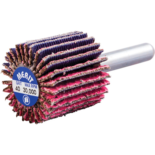 Mini-meule &agrave; lamelles mont&eacute;e sur tige, C&eacute;ramique d'alumine, Grain 40, 1" x 1" x 1/4" Fastek