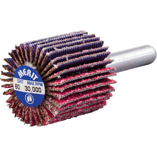 Mini-meule &agrave; lamelles mont&eacute;e sur tige, C&eacute;ramique d'alumine, Grain 60, 1" x 1" x 1/4" Fastek