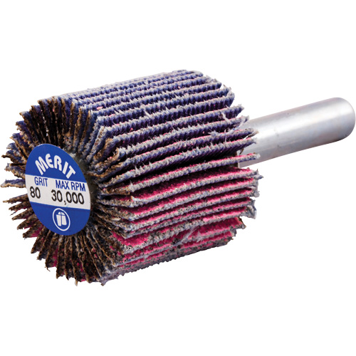 Shank Mounted Mini Flap Wheel, Ceramic Alumina, 80 Grit, 1" x 1" x 1/4" Fastek