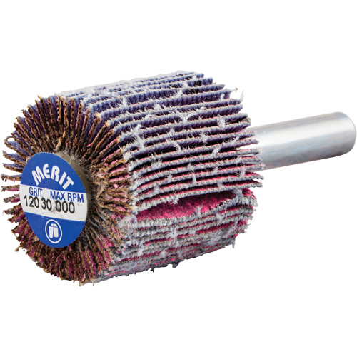 Mini-meule &agrave; lamelles mont&eacute;e sur tige, C&eacute;ramique d'alumine, Grain 120, 1" x 1" x 1/4" Fastek