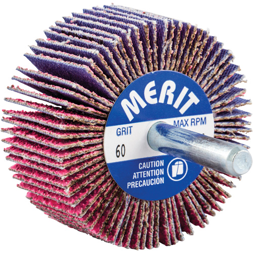 Shank Mounted Mini Flap Wheel, Ceramic Alumina, 60 Grit, 2" x 1" x 1/4" Fastek