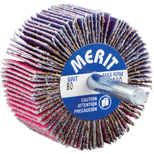 Shank Mounted Mini Flap Wheel, Ceramic Alumina, 80 Grit, 2" x 1" x 1/4" Fastek