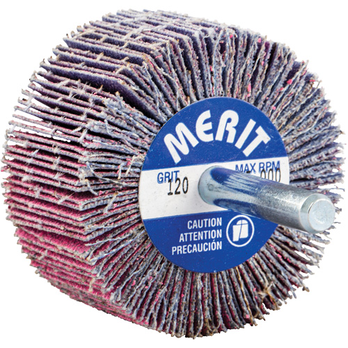 Mini-meule &agrave; lamelles mont&eacute;e sur tige, C&eacute;ramique d'alumine, Grain 120, 2" x 1" x 1/4" Fastek