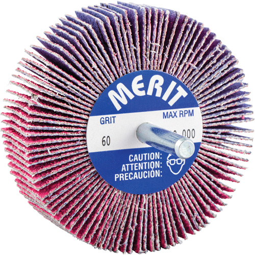 Mini-meule &agrave; lamelles mont&eacute;e sur tige, C&eacute;ramique d'alumine, Grain 60, 3" x 1" x 1/4" Fastek