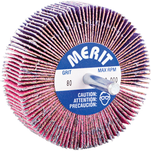 Mini-meule &agrave; lamelles mont&eacute;e sur tige, C&eacute;ramique d'alumine, Grain 80, 3" x 1" x 1/4" Fastek