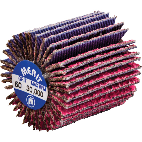 Mini-meule &agrave; lamelles filet&eacute;es, C&eacute;ramique d'alumine, Grain 60, 1" x 1" x 1/4"-20 Fastek