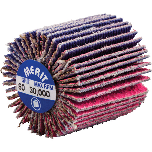 Mini-meule &agrave; lamelles filet&eacute;es, C&eacute;ramique d'alumine, Grain 80, 1" x 1" x 1/4"-20 Fastek