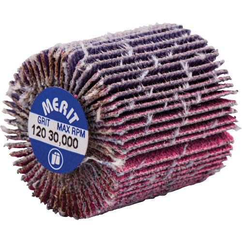 Mini-meule &agrave; lamelles filet&eacute;es, C&eacute;ramique d'alumine, Grain 120, 1" x 1" x 1/4"-20 Fastek