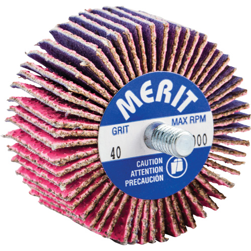 Mini-meule &agrave; lamelles filet&eacute;es, C&eacute;ramique d'alumine, Grain 40, 2" x 1" x 1/4"-20 Fastek