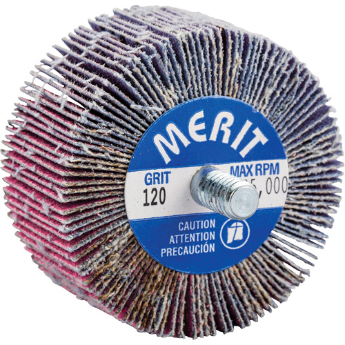 Mini-meule &agrave; lamelles filet&eacute;es, C&eacute;ramique d'alumine, Grain 120, 2" x 1" x 1/4"-20 Fastek