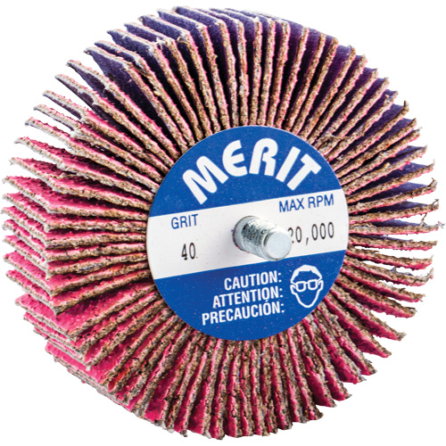 Mini-meule &agrave; lamelles filet&eacute;es, C&eacute;ramique d'alumine, Grain 40, 3" x 1" x 1/4"-20 Fastek