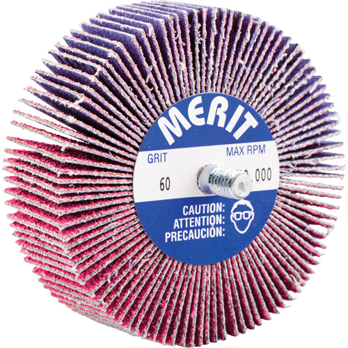 Mini-meule &agrave; lamelles filet&eacute;es, C&eacute;ramique d'alumine, Grain 60, 3" x 1" x 1/4"-20 Fastek