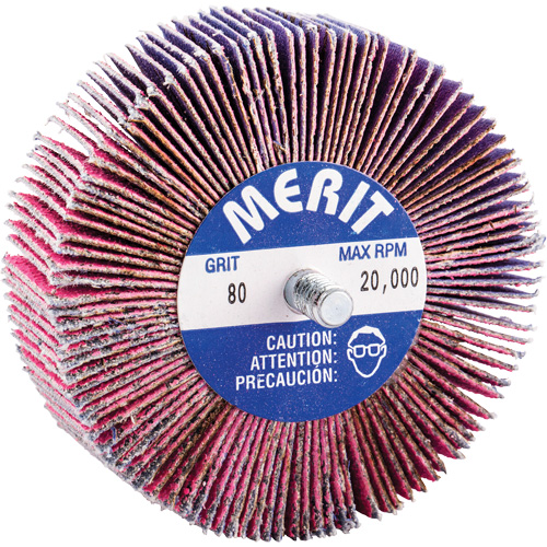 Mini-meule &agrave; lamelles filet&eacute;es, C&eacute;ramique d'alumine, Grain 80, 3" x 1" x 1/4"-20 Fastek