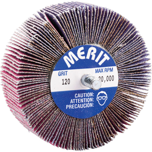 Mini-meule &agrave; lamelles filet&eacute;es, C&eacute;ramique d'alumine, Grain 120, 3" x 1" x 1/4"-20 Fastek
