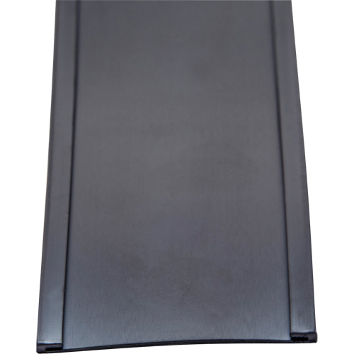 Porte-&eacute;tiquette, Magn&eacute;tique, 600" lo x 2" la Fastek