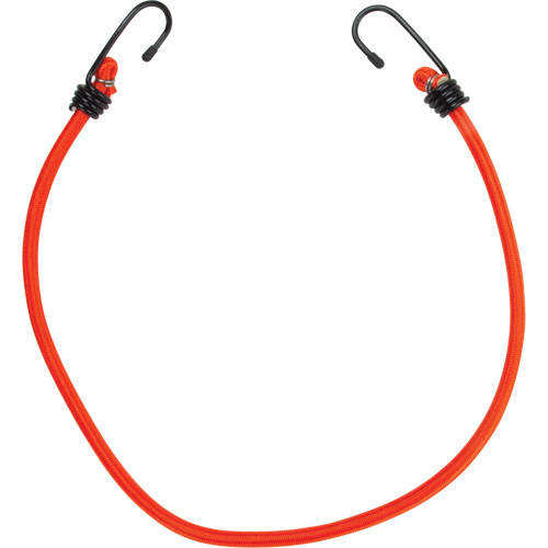 Bungee Cord Tie Downs, 24" Fastek