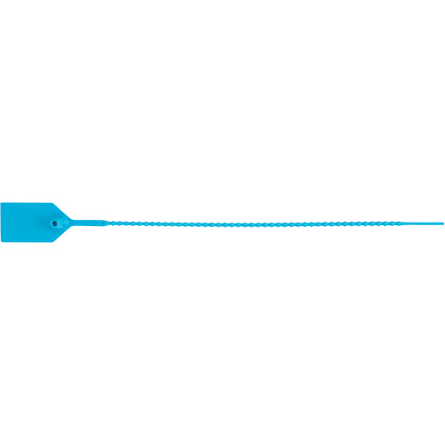 Scell&eacute; de s&eacute;curit&eacute; standard, 12", Plastique, Scell&eacute; en plastique Fastek