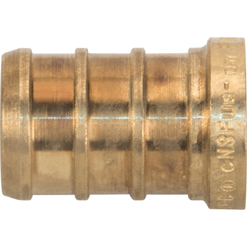 Lead-Free Pipe Plug, Pipe, 1/2" Dia., Brass Fastek