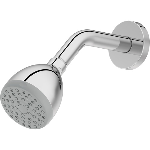 One-Function Showerhead Fastek