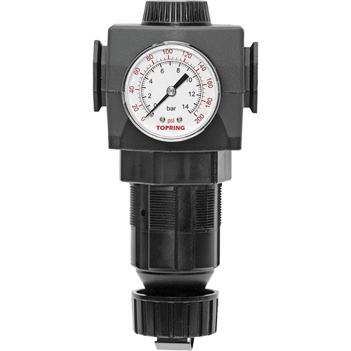 Regulator with Gauge Modulair 400, 3/4" NPTF, 125 PSI Max. PSI, In Line/Modular Fastek