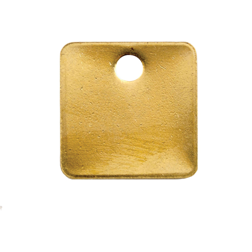 Blank Tags, Brass, 1.25" dia Fastek