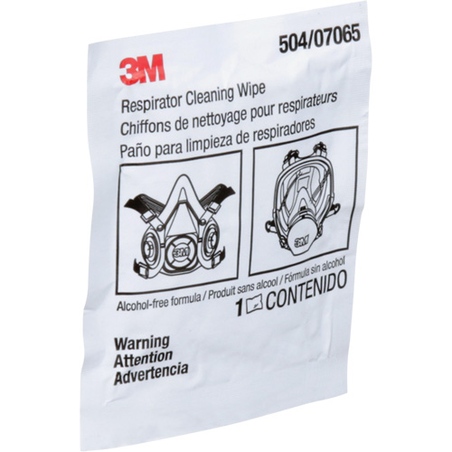 Respirator Cleaning Wipes, Wipes Fastek