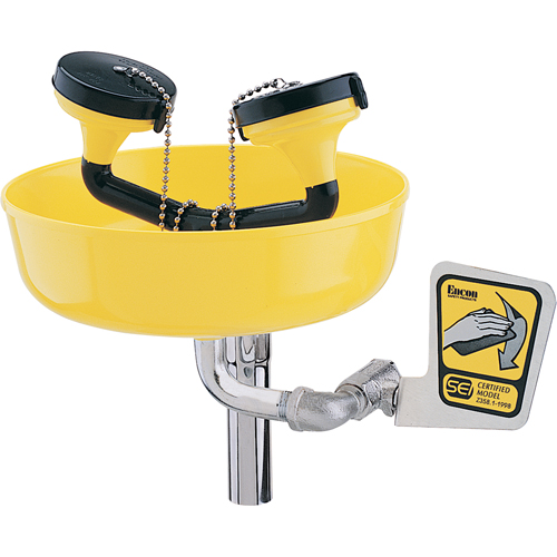 Poste de douche oculaire, Installation Support pour tuyau d'approvisionnement, Bol Plastique Fastek