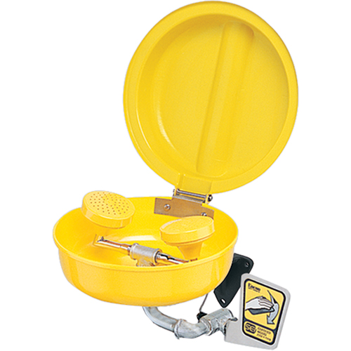 Eye/Face Wash With Cover, Pedestal Installation, Plastic Bowl Fastek